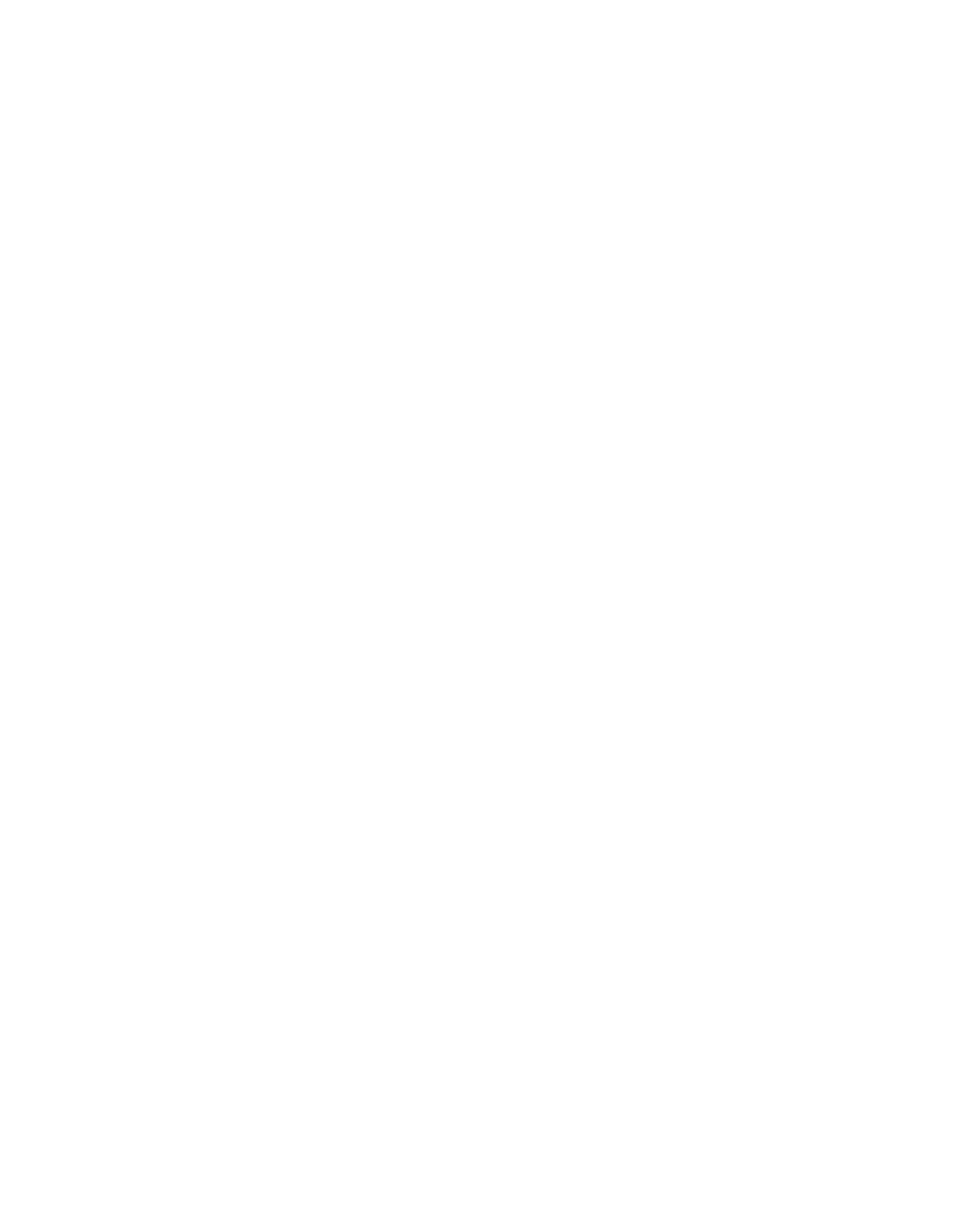 SOKA Logo